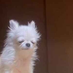 Meet your Posher, Colin